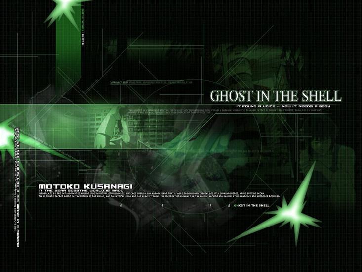 anime wallpapers - Ghost in the Shell Wallpaper.jpg