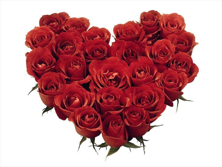 Tapety miłosne - red_roses_heart.jpg