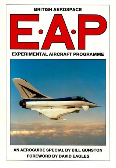 AEROGUIDE SPECIAL - British Aerospace EAP Experimental Aircraft Progr amme.jpg