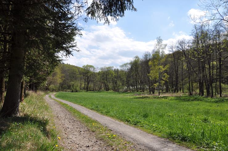 Rezerwat nad Groblą-Czechy - dsc_4537_25148192244_o.jpg