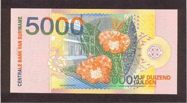 Suriname - SurinamPNew-5000Gulden-2000-donated_b.jpg