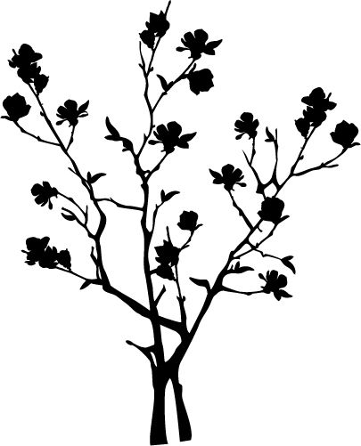 Drzewa - szablon-drzewko-magnolia_344.jpg