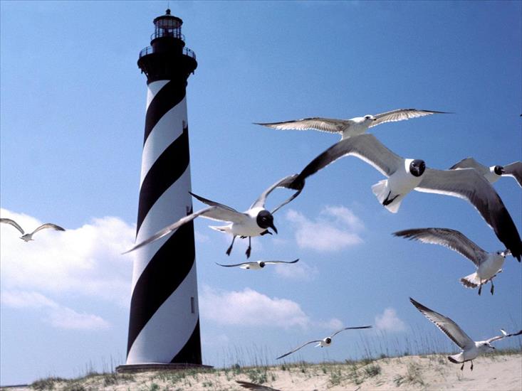 latarnie - Cape Hatteras Lighthouse, North Carolina.jpg