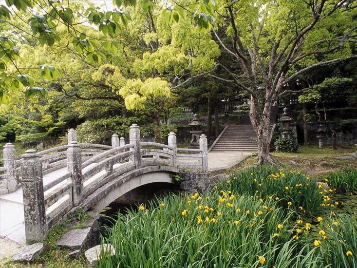 OGRODY1 - Hagi Castle Garden, Western Honshu, Japan.jpg