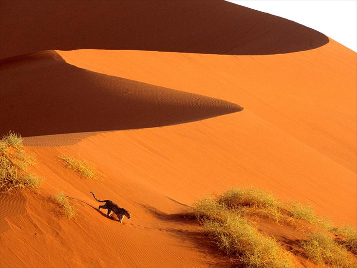 Afryka - Crossing the Sand Dunes of Sossusvlei Park, Namibia, Africa.jpg