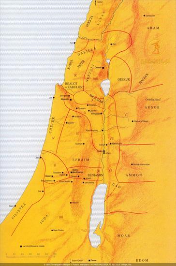 IZRAEL - 40 - Salomon.jpg