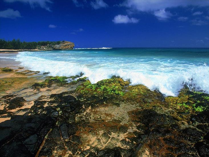 HAWAJE - Shipwrecks Beach, Kauai, Hawaii.jpg