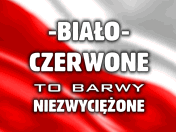 ŚWIĘTO NIEPODLEGŁOŚCI 11.11 - Polska.gif