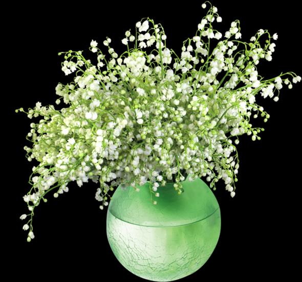 Konwalie - Lily_of_the_Valleyin_Vase.png