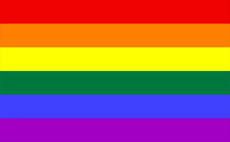Flagi inne - Flaga Tęczowa ruch LGBT.png