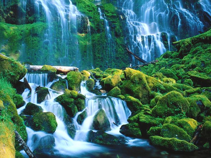 WODOSPADY - Proxy Falls, Willamette National Forest, Oregon00.jpg