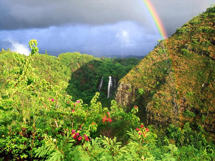 Krajobrazy - Rainbow Over Opaekaa Falls, Kauai, Hawaii.jpg