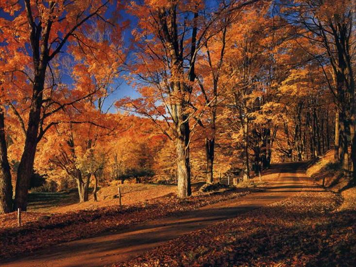 foto - jesienny krajobraz 13.jpg