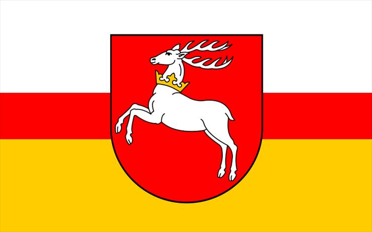 lubelskie - 800px-POL_województwo_lubelskie_flag.svg.png