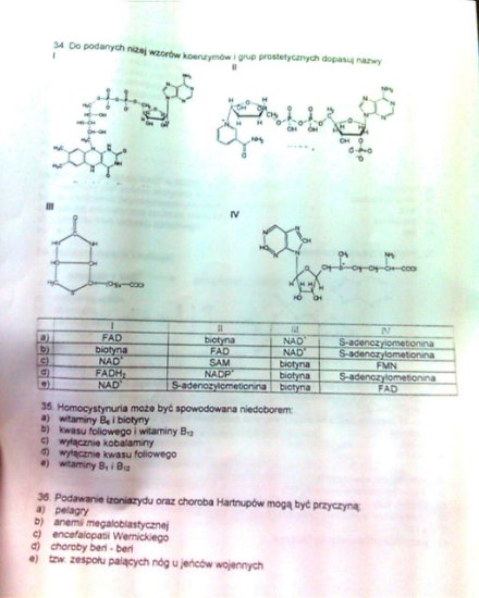 Biochemia - Zdjecie0771.jpg