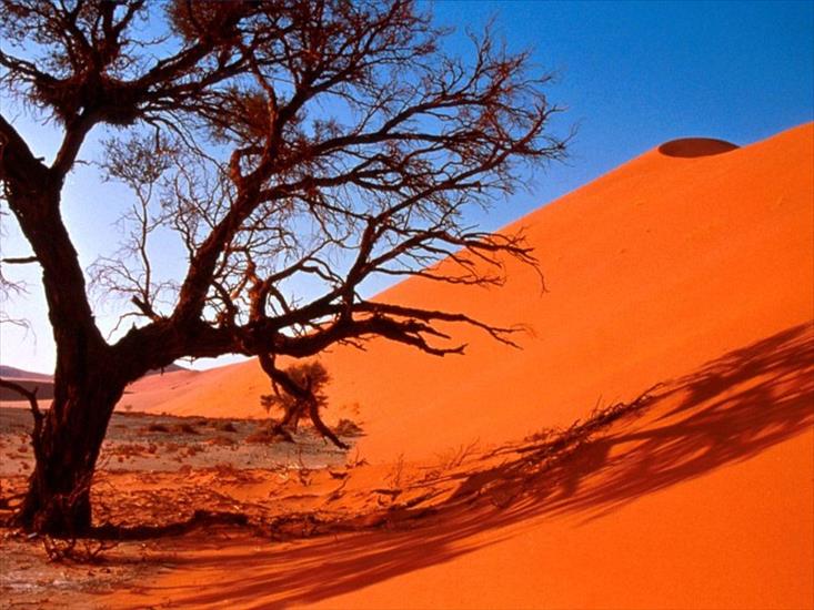 Pustynie - pustynie_22.jpg