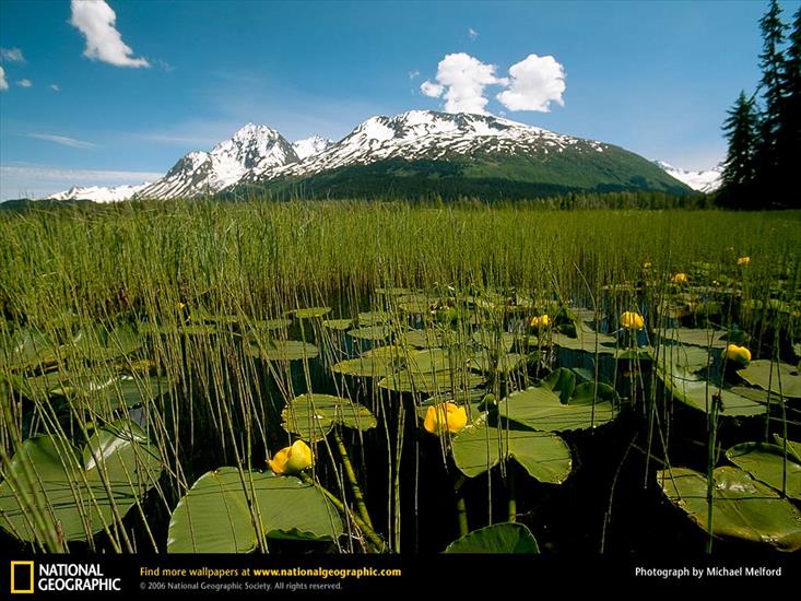 National Geographic - 480.jpg