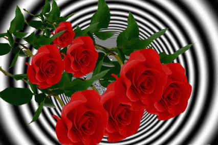 gify róże - V5.gif