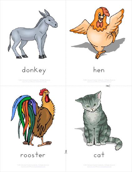 1a_Angielski_Kids_Flashcards homo_sapiens - farm_animals00021.jpg