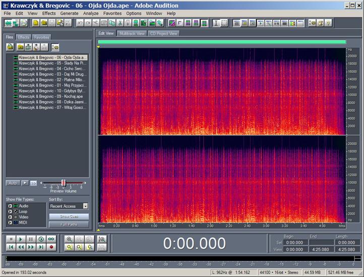 Adobe Audition spectrum - Track 06.jpg