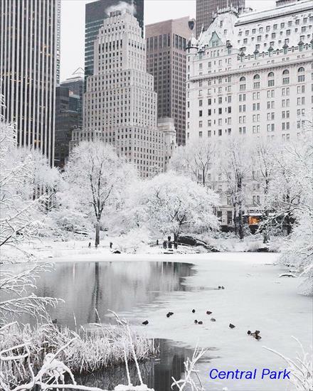  1Tajemnicze, Piękne Miejsca na Ziemi  - Central Park, N.Y USA.jpg
