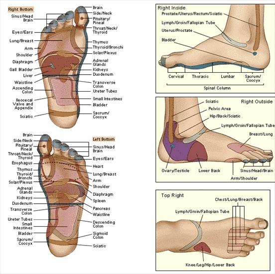 Mapa ciała,ręce,stopy i - BodyRe1.gif