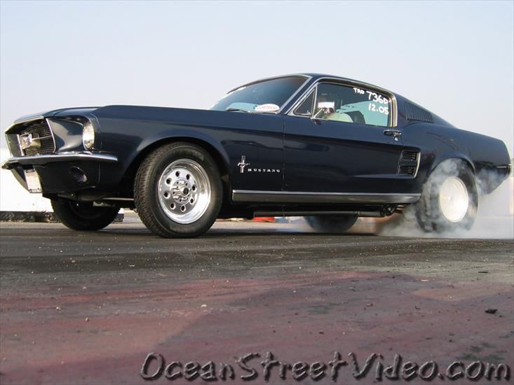 Ford Mustang - ford-mustang-burnout.jpg