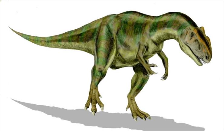 DINOZAURY - Dynozaury 7.jpg