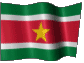 Flagi państwowe - Suriname.gif