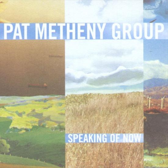 muza-piosenki które lubię - pat_metheny_-_speaking_of_now_a.jpg