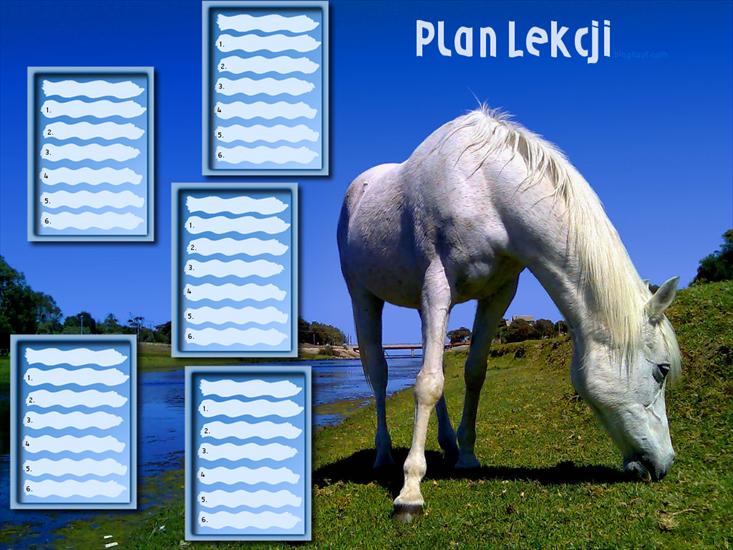  KALENDARZE_PLANY LEKCJI - plan_lekcji_bialykon.jpg