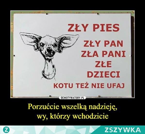 Zszywka - 1486321328026.png