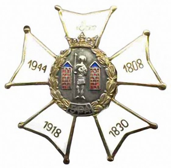 Odznaki wojsk lądowych - 5pa.jpg