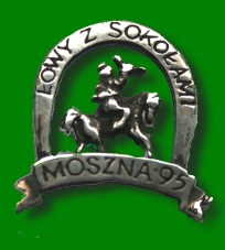 Odznaczenia, medale pzł - lowy_sokolem_1995.jpg