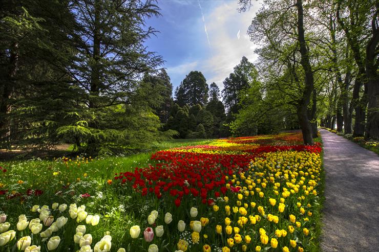 w ogrodzie w parku - Germany_Parks_Spring_Tulips_Mainau_Island_Trees_547113_4500x3004.jpg
