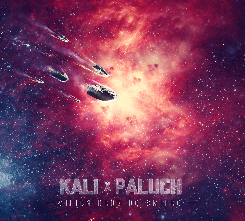 Kali  Paluch - Milion Drog Do Smierci-2013 - kalipaluch-front.jpg