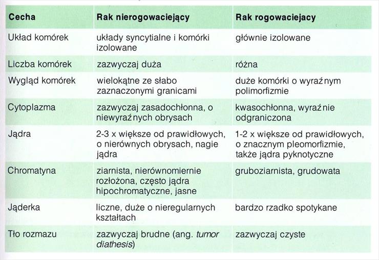 Notatki - Obraz1.jpg