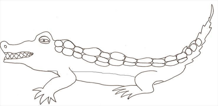 Zwierzątka - crocodile1.jpg