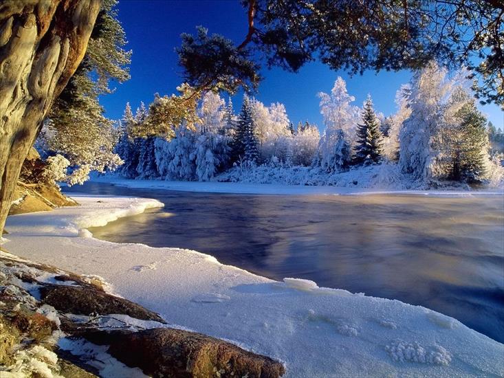 tapeta krajobrazy - Winter_wallpapers_Winter_forest_004936_.jpg
