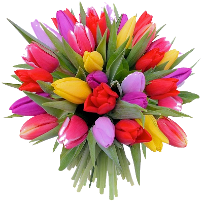 KWIATY - bouquet-rond-100-tulipes-multicolore-vif_22552.png