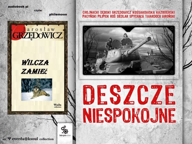 Grzędowicz Jarosław - Wilcza Zamieć - edsdeszcze_niespokojne_grzedowicz_audio_2.png