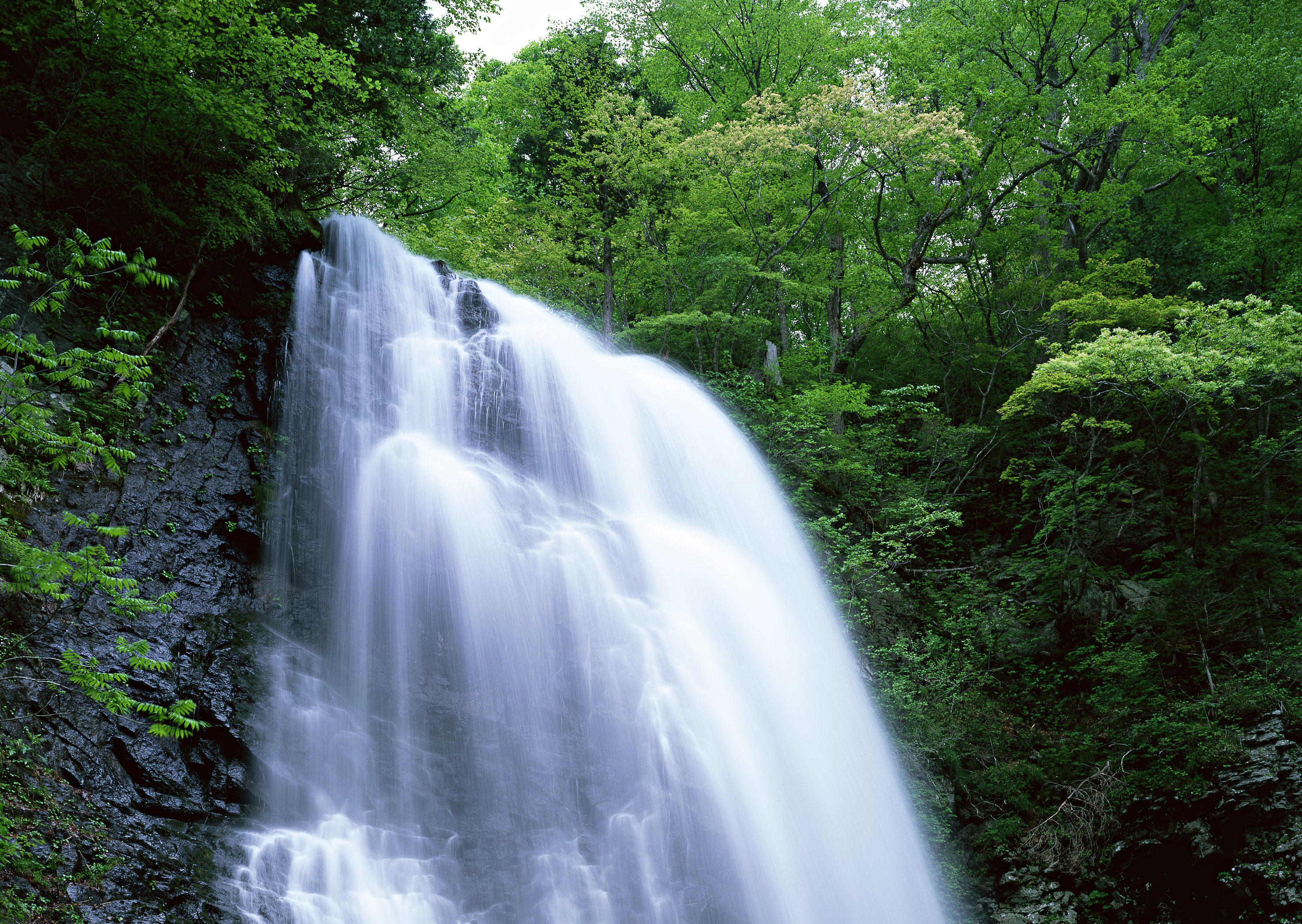 Waterfalls - 12 - 002.jpg