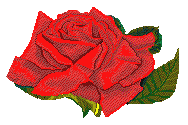 kwiaty - rose03.gif