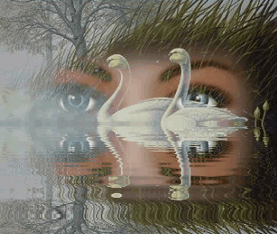 obrazki z wodą - two swans.gif
