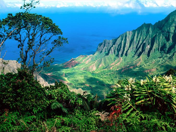 Galeria Tropiki - Pacific Breezes, Kalalau Valley, Kauai, Hawaii.jpg