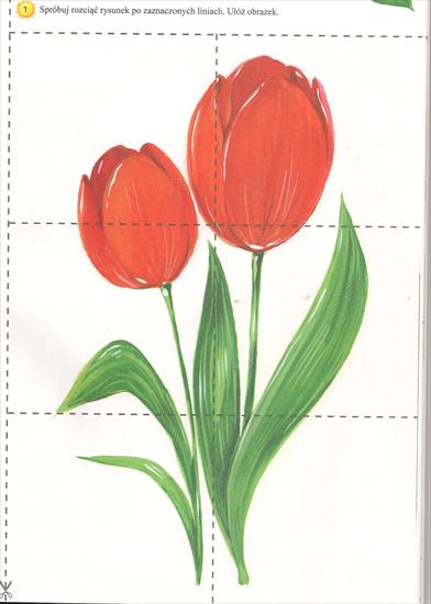 PUZZLE - puzzle-tulipany.jpg