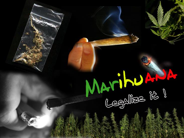 Tapety marihuana - Marihuana 126.jpg