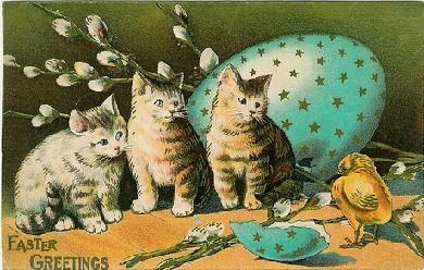 Koty-stare kartki pocztowe - hj.jpg