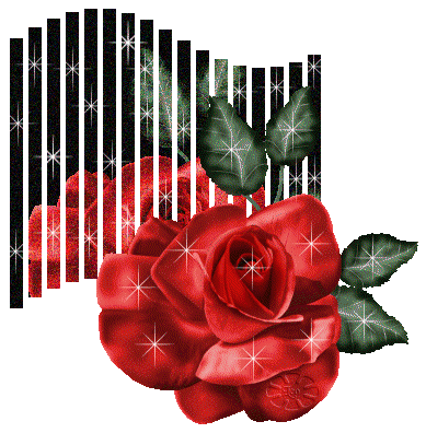  róże - ros109.gif