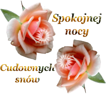 Dobrej nocki - dobranoc-cudownych-snow-roze3-909_u.gif